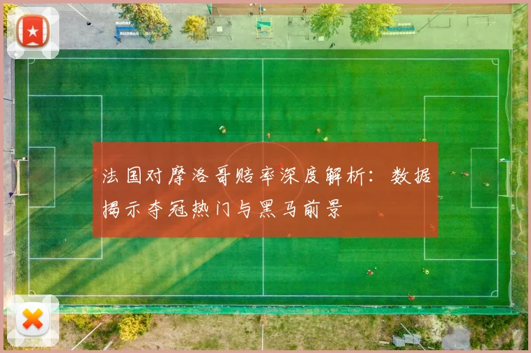 法国对摩洛哥赔率深度解析：数据揭示夺冠热门与黑马前景